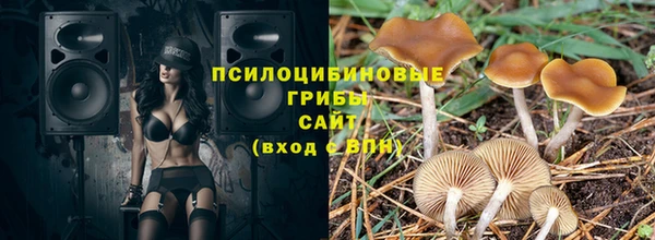 винт Бикин