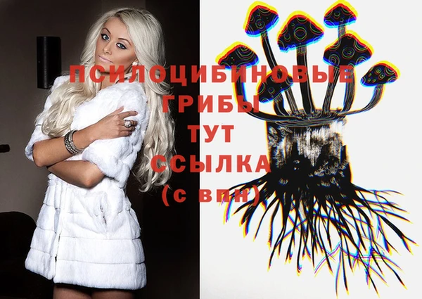 эйфоретик Абаза
